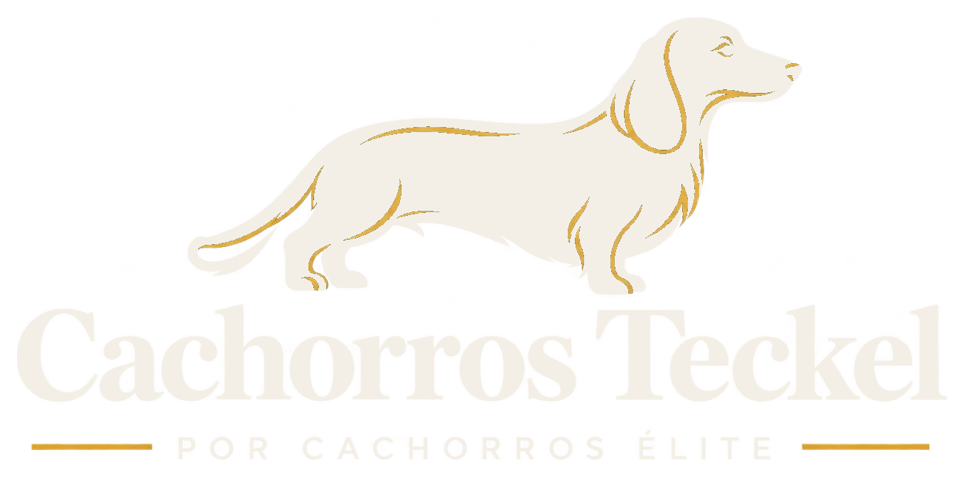 Logo Cachorros Teckel claro