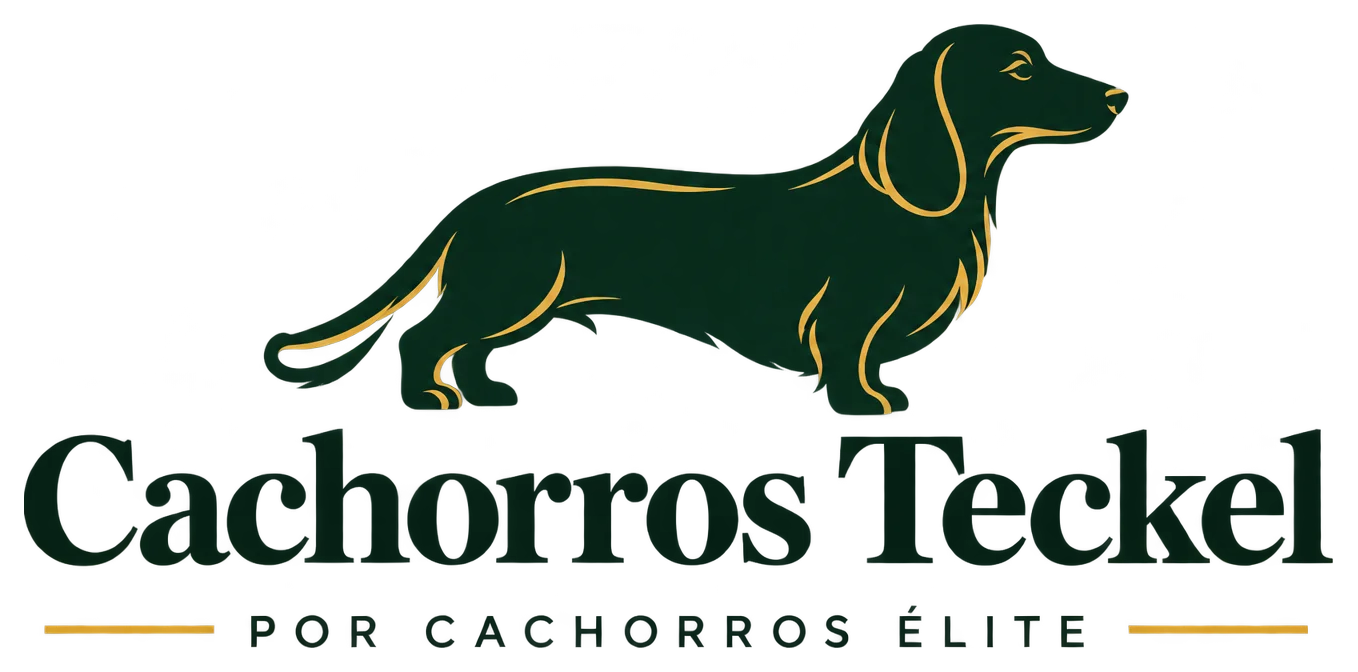 Logo Cachorros Teckel por Cachorros Élite